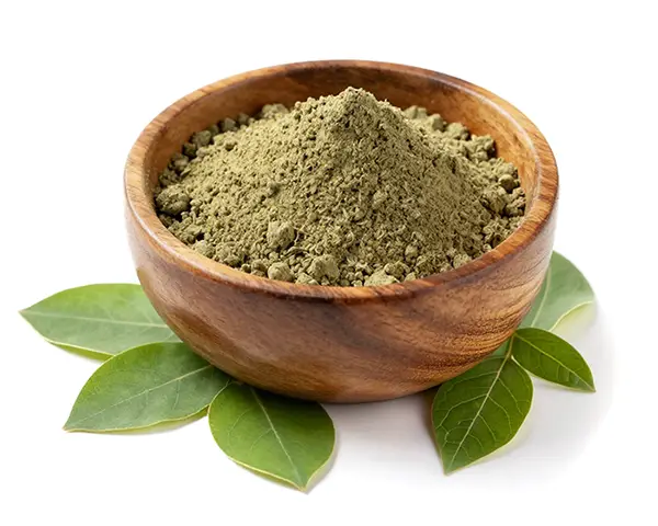 Pehchaan Giloy Powder