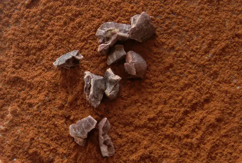 Chicory Grinding