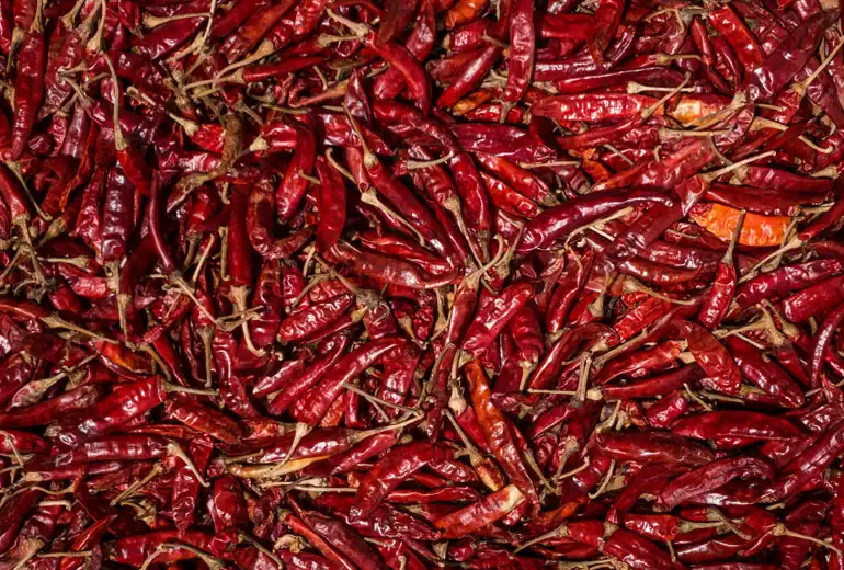 Chilli Grinding Plant