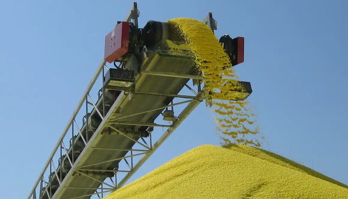 Pin Mill vs Hammer Mill